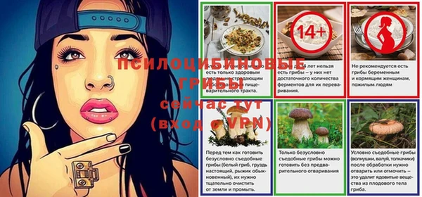 гашик Алзамай
