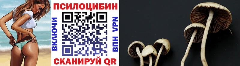 мега вход  Учалы  Псилоцибиновые грибы GOLDEN TEACHER 
